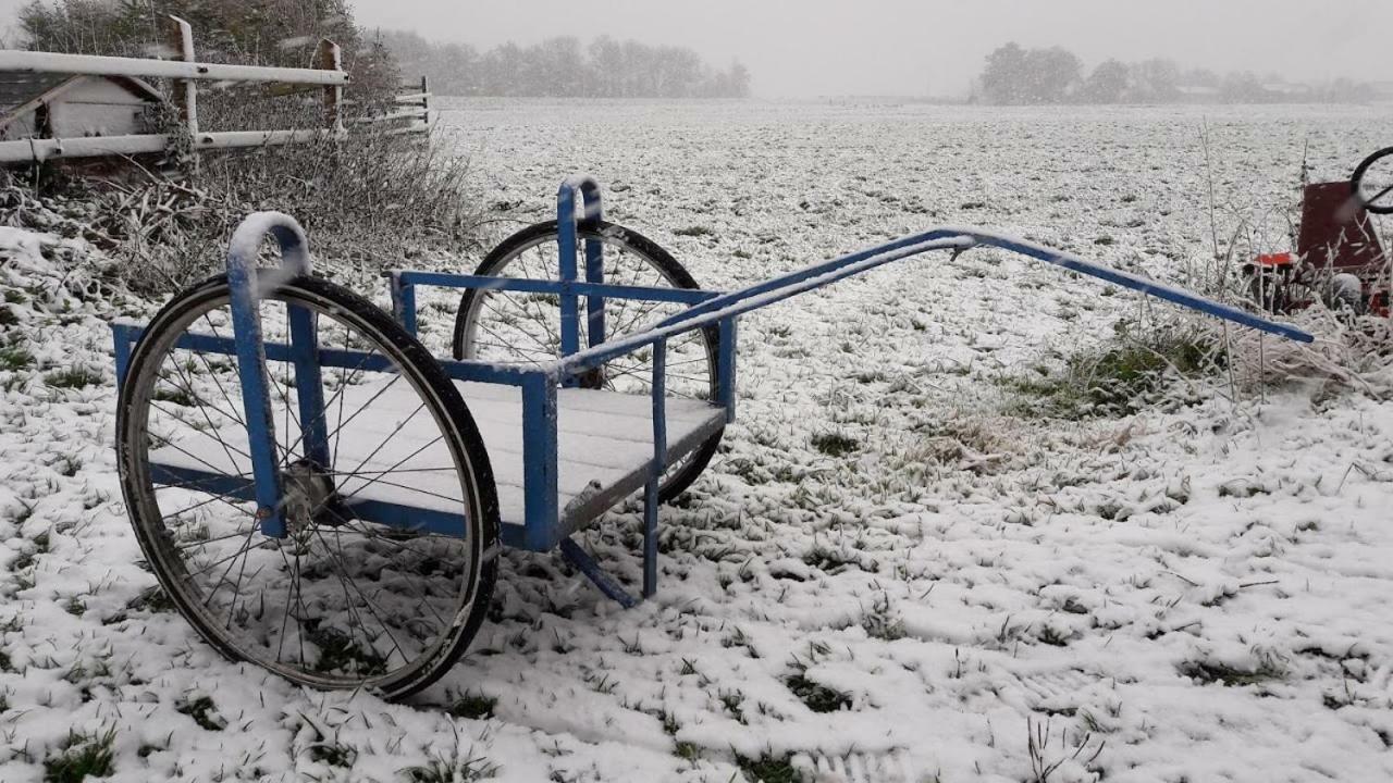 شقة Noord-Hollands Hof Dream Spijkerboor المظهر الخارجي الصورة